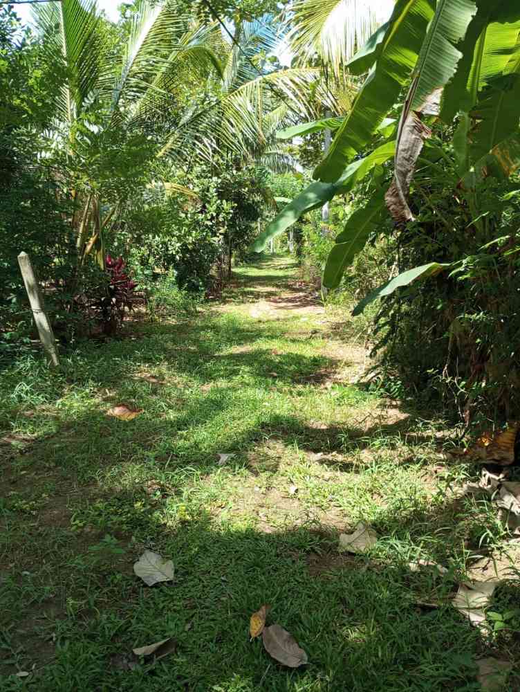 Land for sale in kurunegala
