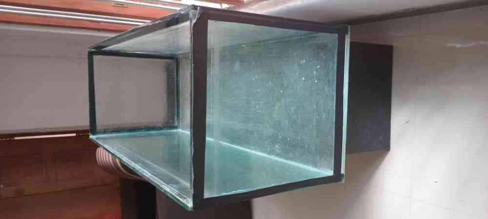 4 Feet fish tank for sale