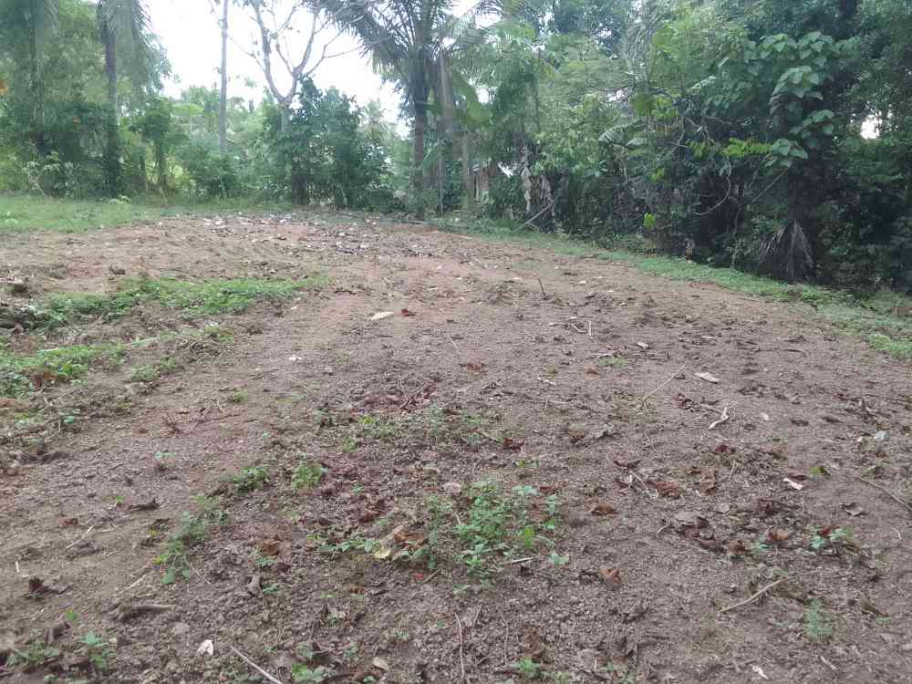 Land for sale in minuwangoda area