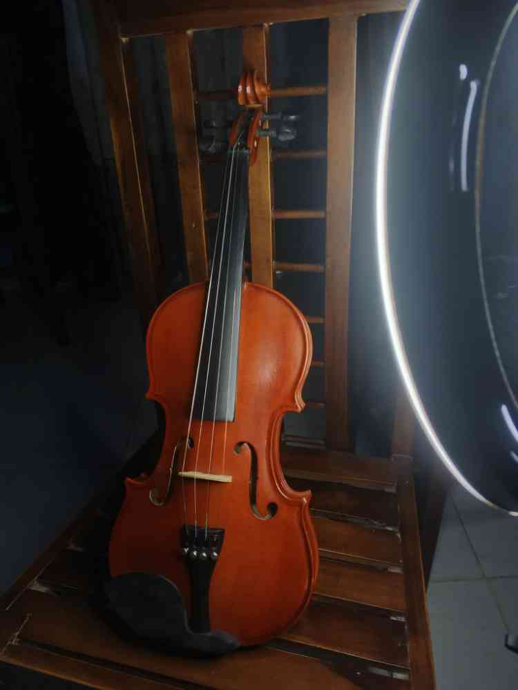 Lark violin for sale