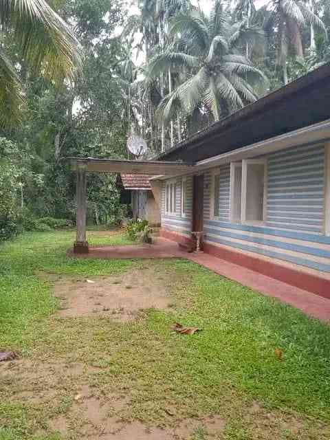 House with 84 perches land in dediyagala