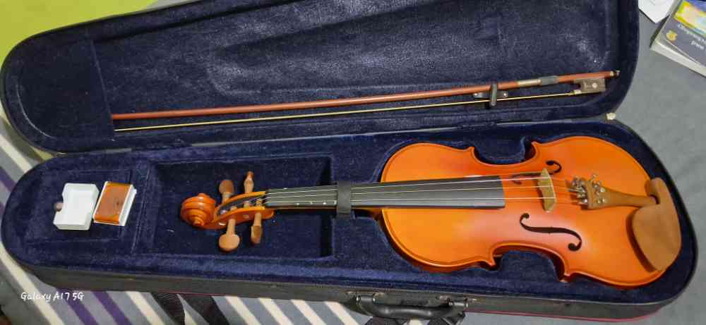 Skyland lark violin