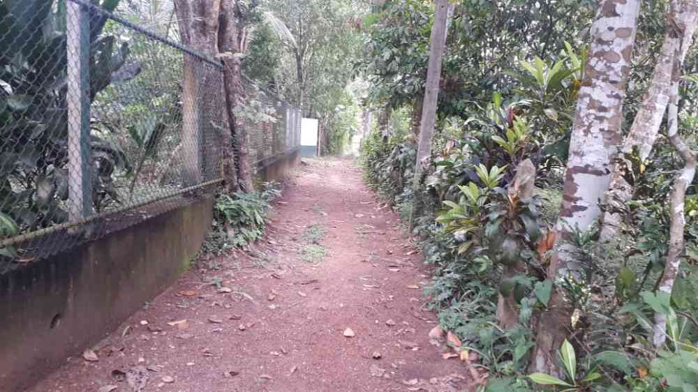 Land for sale in gampaha