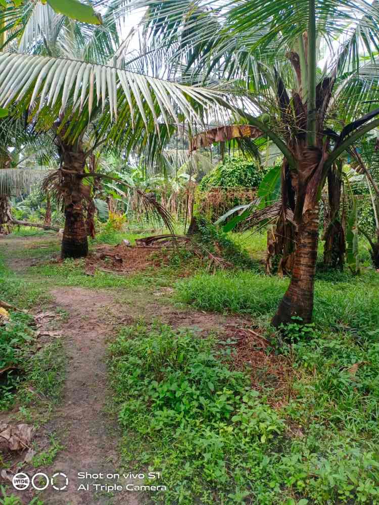 Residential land for sale