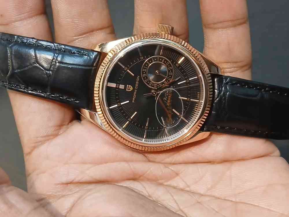 Pagani design PD-1689 men's watch
