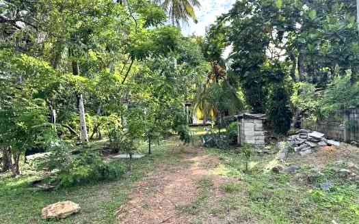 Land for sale