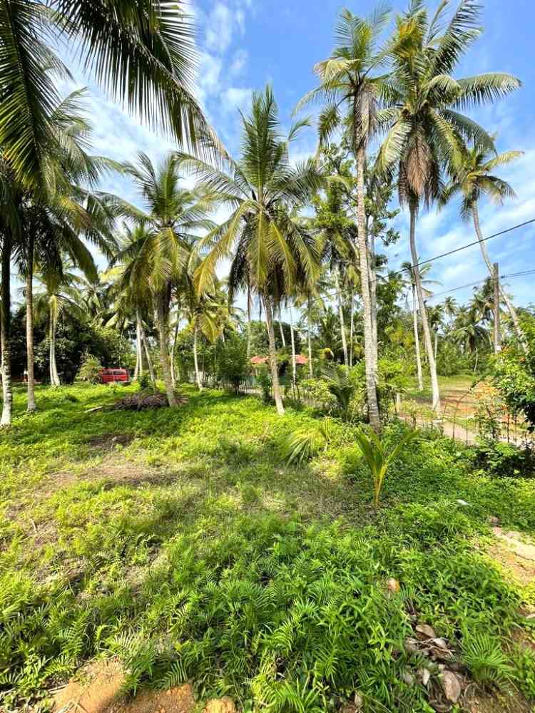 Land for sale in puttalam