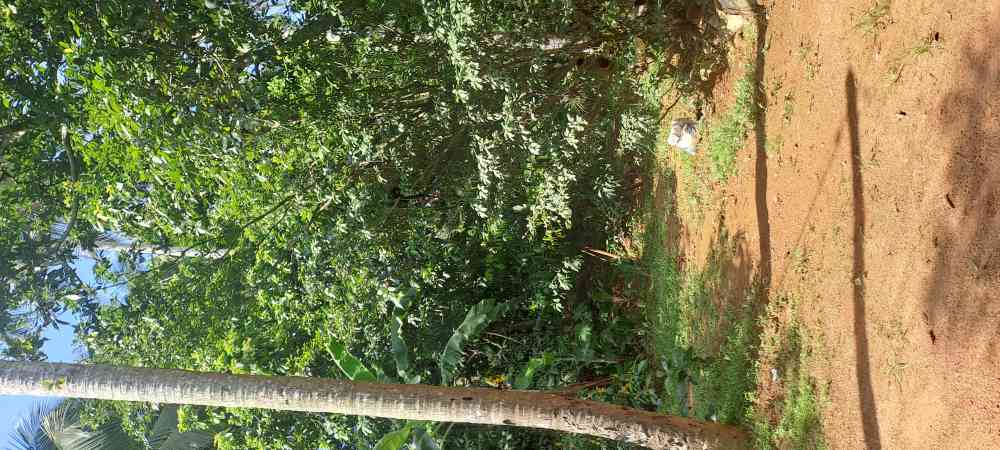 Prime 10 perch land for sale