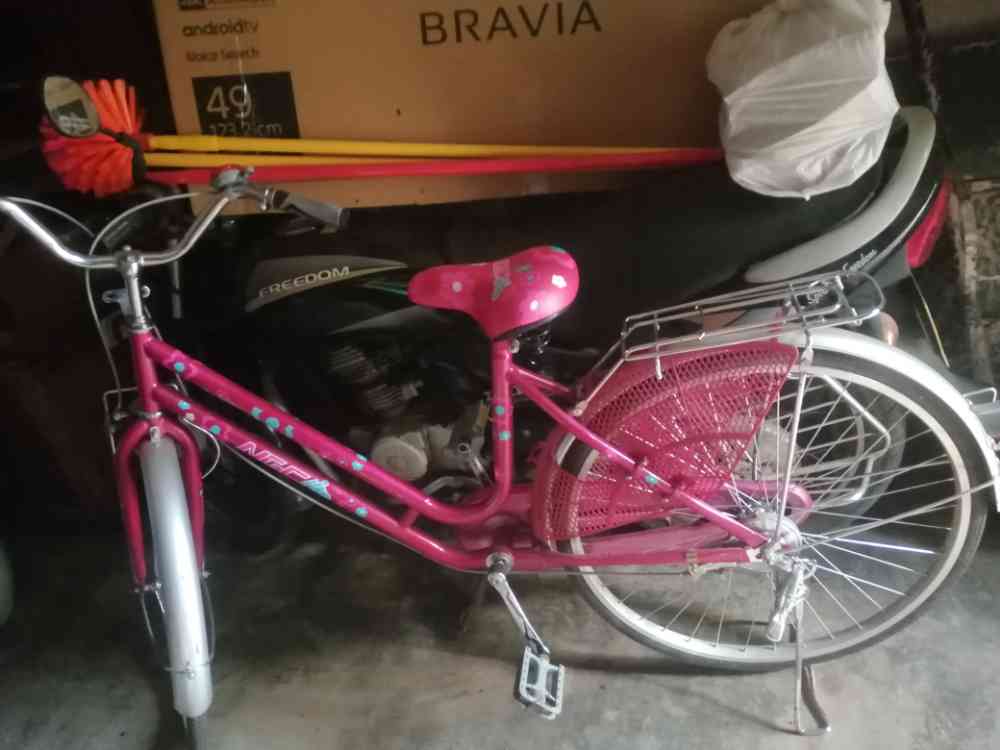 Ladies bicycle