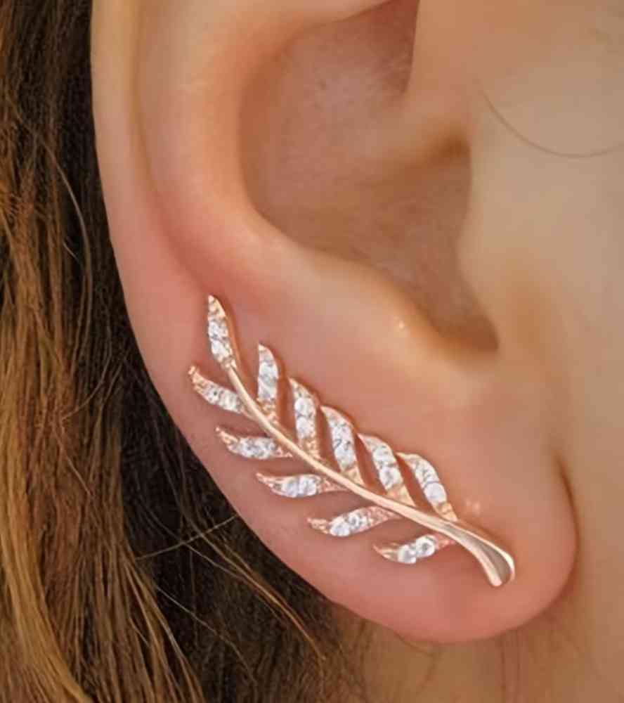 Earings